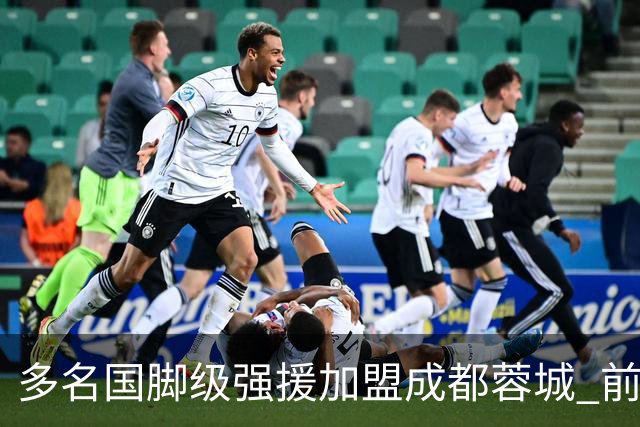 多名国脚级强援加盟成都蓉城 前场还有进人空间