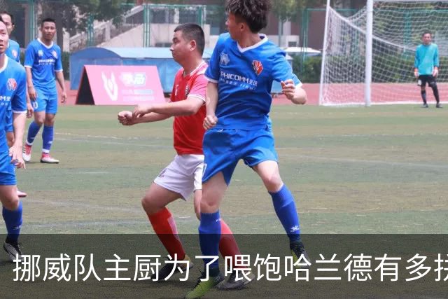 挪威队主厨为了喂饱哈兰德有多拼？他每天要补充6000卡路里热量，进入淘汰赛后球队紧急订购食材